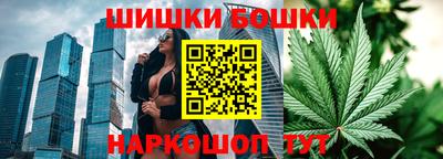 прущий лед Новозыбков