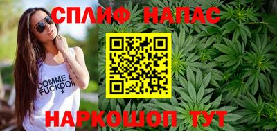 МДПВ Новокубанск