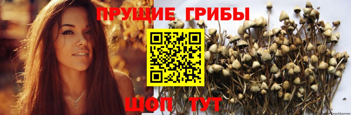 Псилоцибиновые грибы мухоморы  Псилоцибиновые грибы GOLDEN TEACHER  Вход с VPN  Углич 